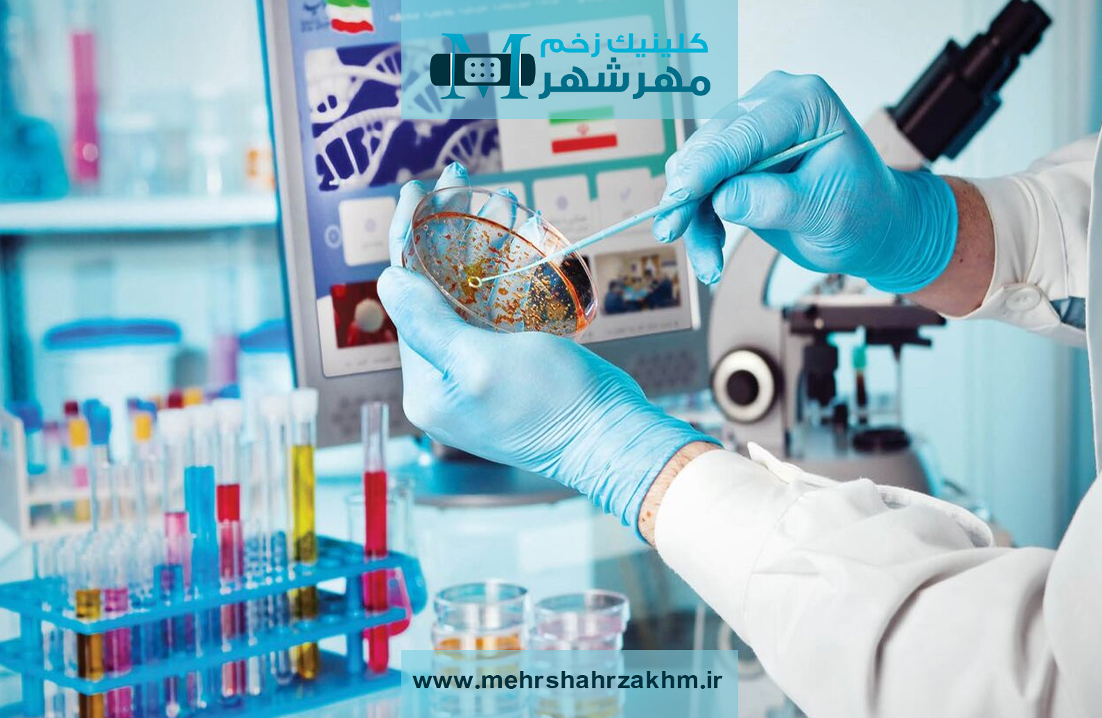 سلول های بنیادی در ترمیم زخم‌ در کرج|روش نوین ترمیم زخم با سلول‌های بنیادی در کرج
